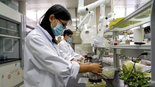 安丘市推進農產品檢驗檢測流程再造，開啟檢測信息共享新篇章